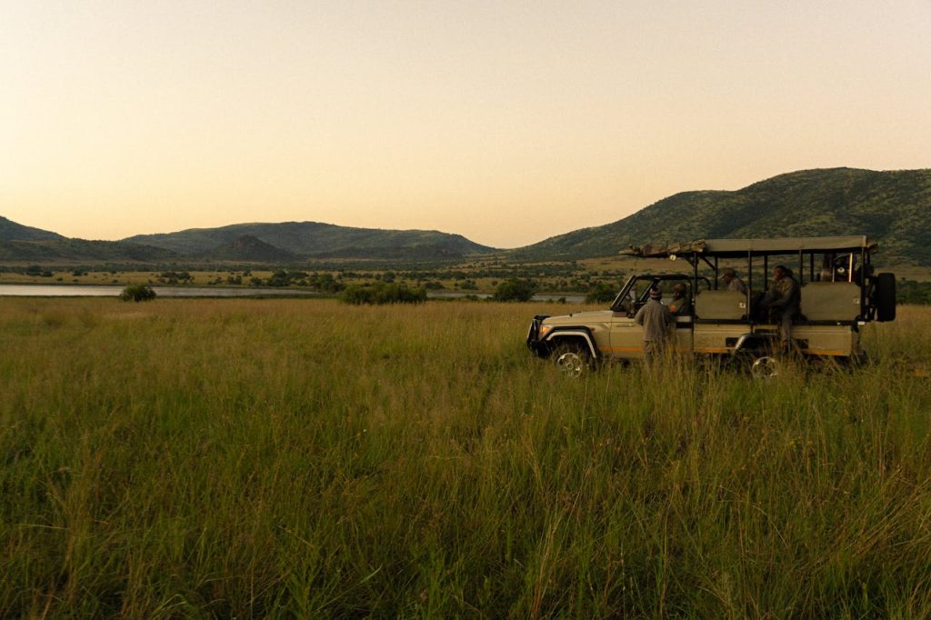 pexels photo 16448674 A safari jeep with people observing wildlife at dusk in Pilanesberg National Park, South Africa.