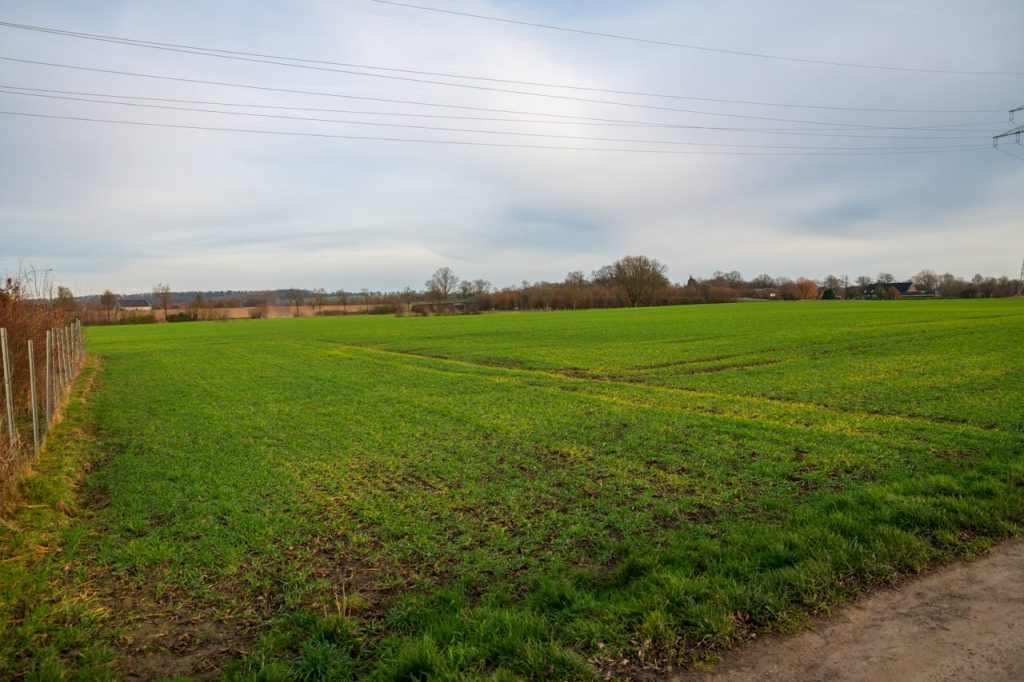 pexels photo 35368208 Wide view of a lush green field with distant trees and power lines under a cloudy sky.